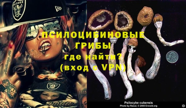 spice Майский