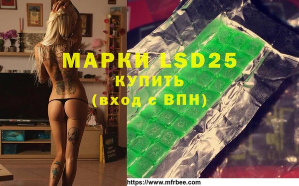 шишки Алагир
