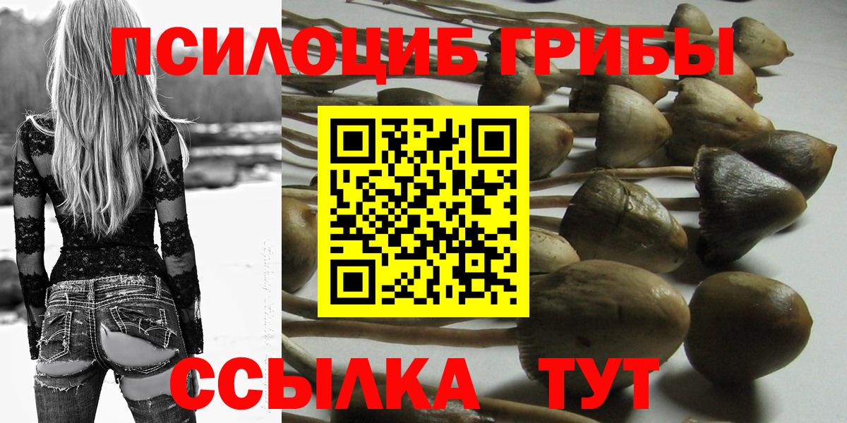 Галлюциногенные грибы Psilocybine cubensis  Галлюциногенные грибы Psilocybine cubensis  Коряжма  Вход с VPN 